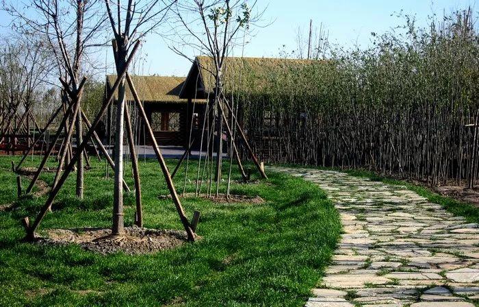 天津市六一都有什么活动,六一假期天津