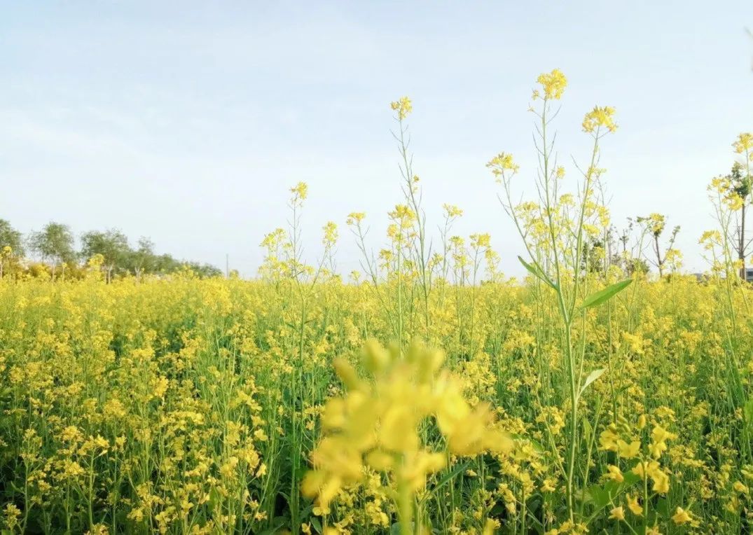 天津市六一都有什么活动,六一假期天津