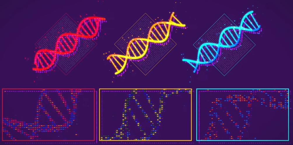 我只是坐在那里打游戏，就推动了科学发展。。。
