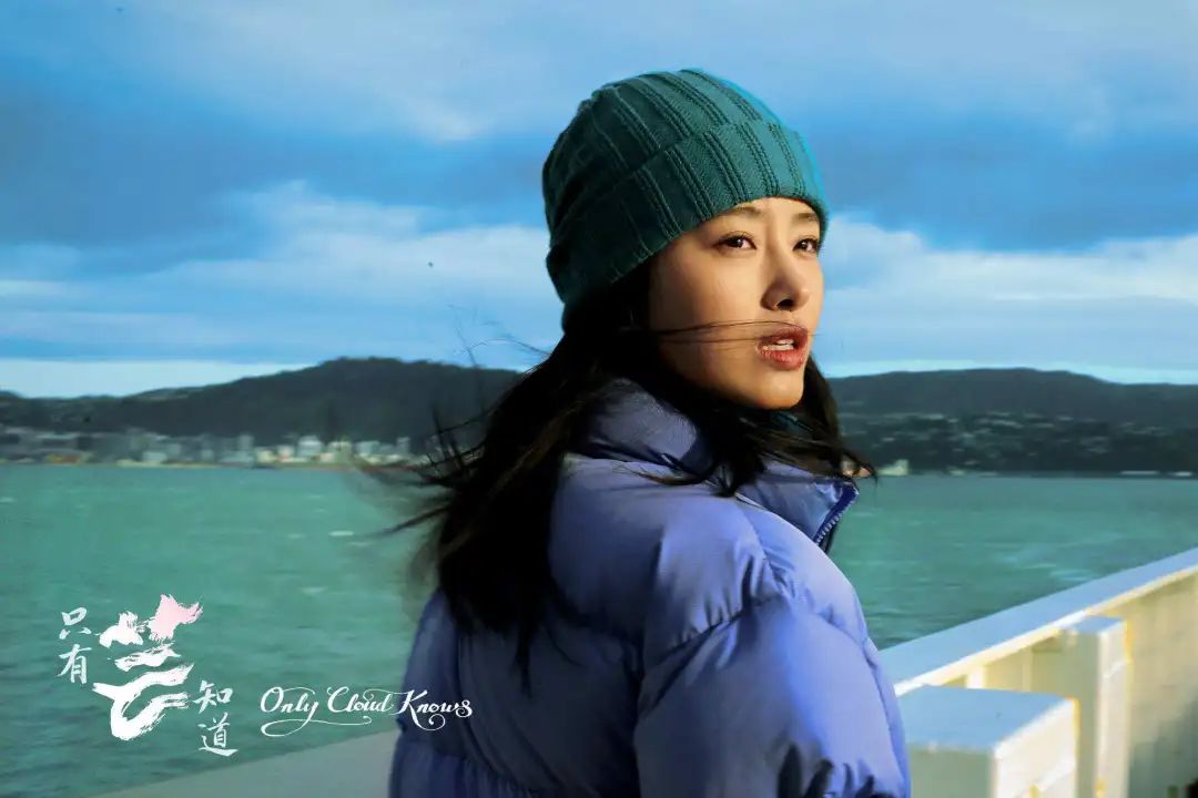 冯小刚的芳华简介,芳华冯小刚三美