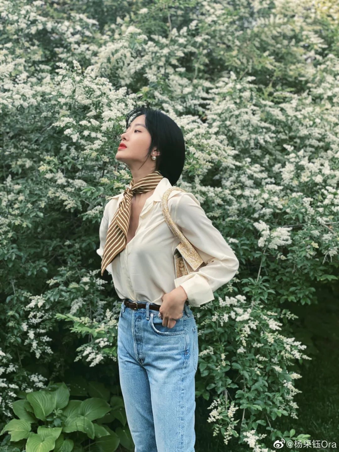 冯小刚的芳华简介,芳华冯小刚三美