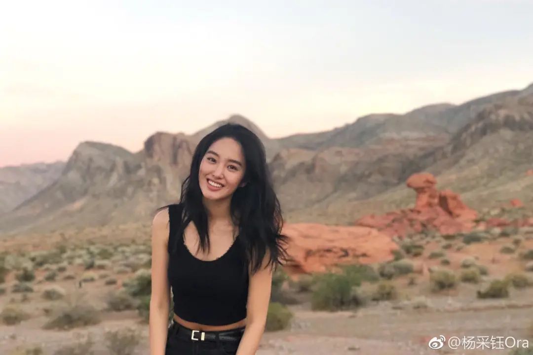 冯小刚的芳华简介,芳华冯小刚三美