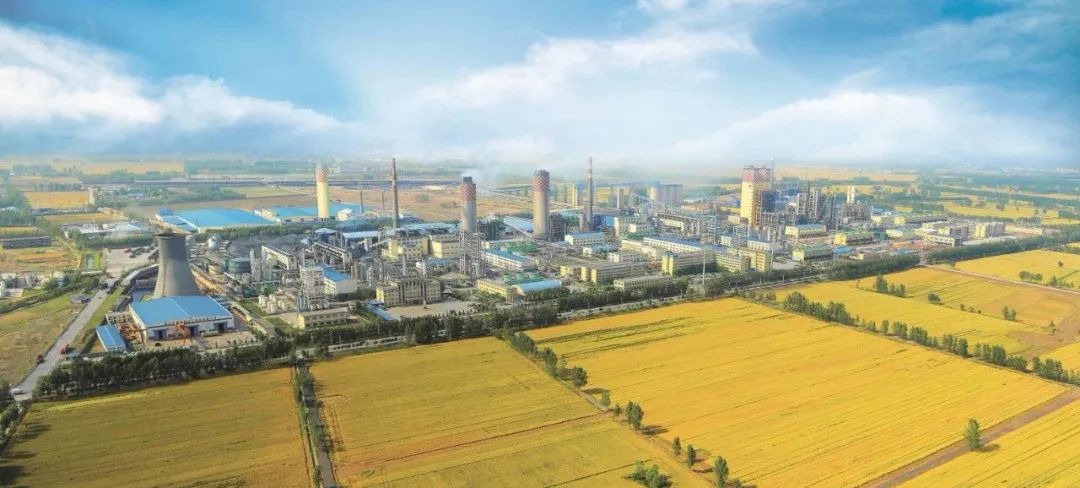 特肥走向高性价比，心连心将成“黑色科技”航母