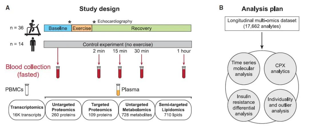 运动10分钟，机体内的分子是如何变化的？