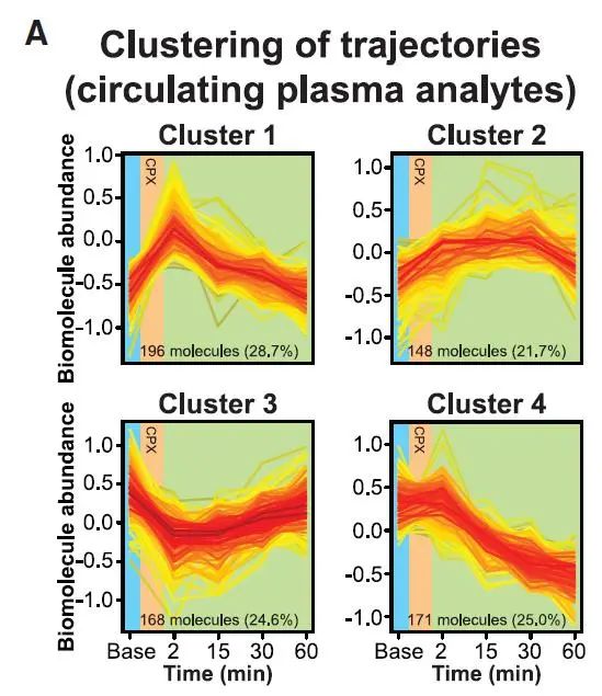 运动10分钟，机体内的分子是如何变化的？
