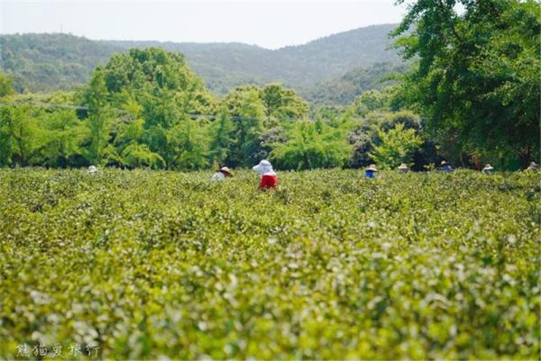 常熟山水之城旅游,常熟江南水乡风景