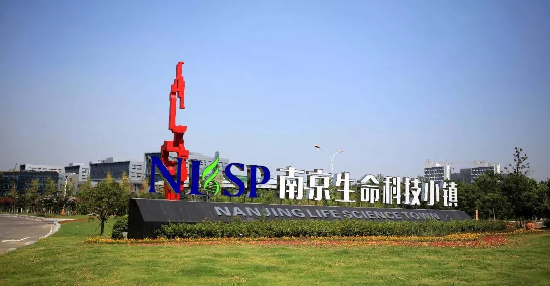 竞速新赛道,竞速三选一