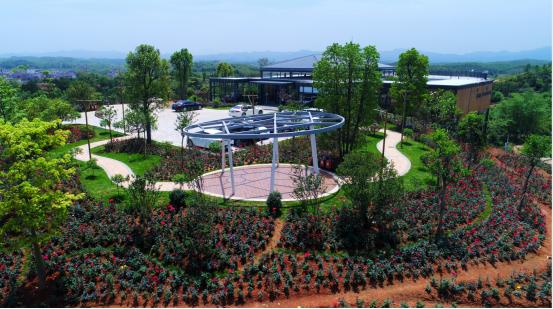 暑假肇庆旅游攻略,带上行囊出发吧