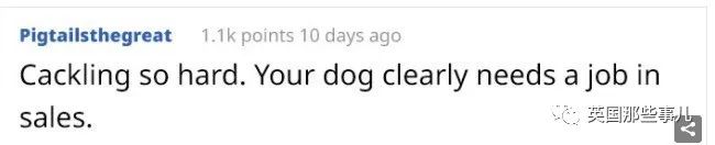 发现自家的狗一直在欺骗自己,网友发现一只很奇怪的狗