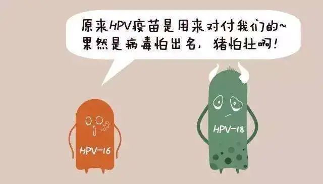 关于HPV的5个常见问题与11个误区，每位女性都要知道！