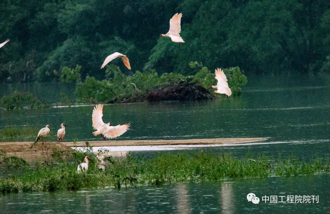 战略研究丨秦巴山脉区域河流自然风景价值保护初探