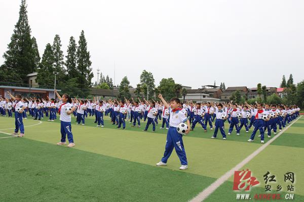 张阳调研教育工作：传统与素质教育要从习惯入手牢牢抓住道德品质教育