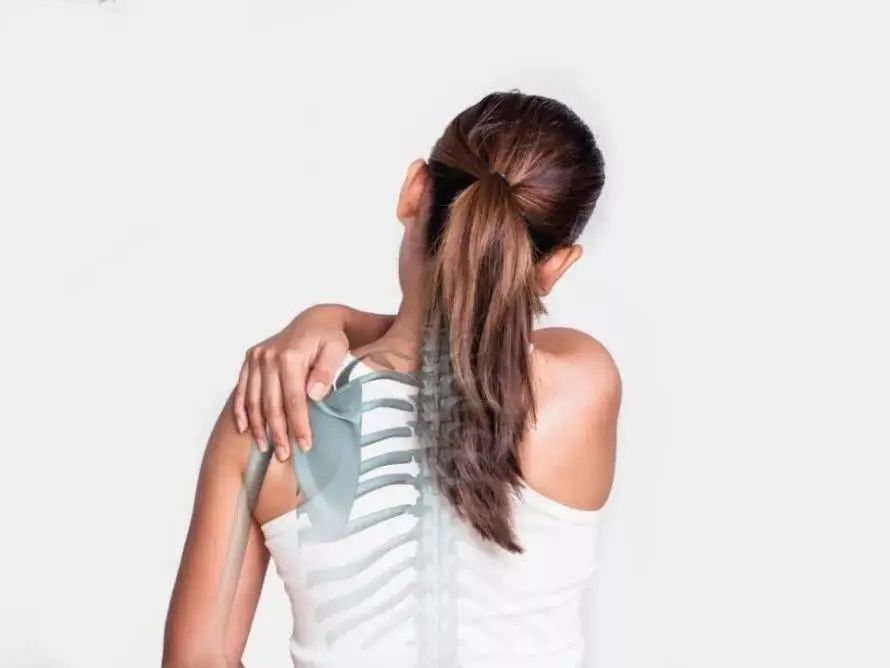 雌激素与膝关节炎,风湿性关节炎的雌激素治疗