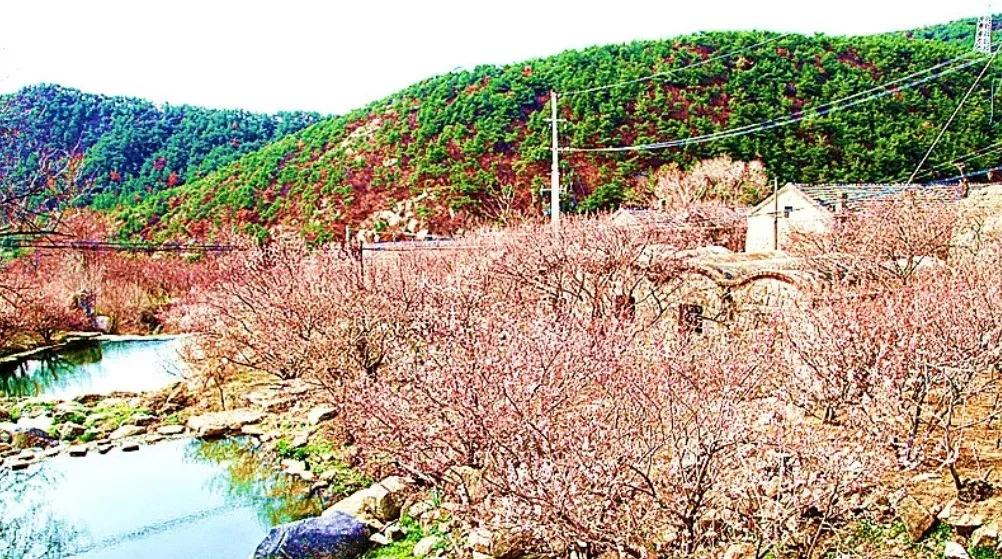 文登六度寺位置,六度寺文登