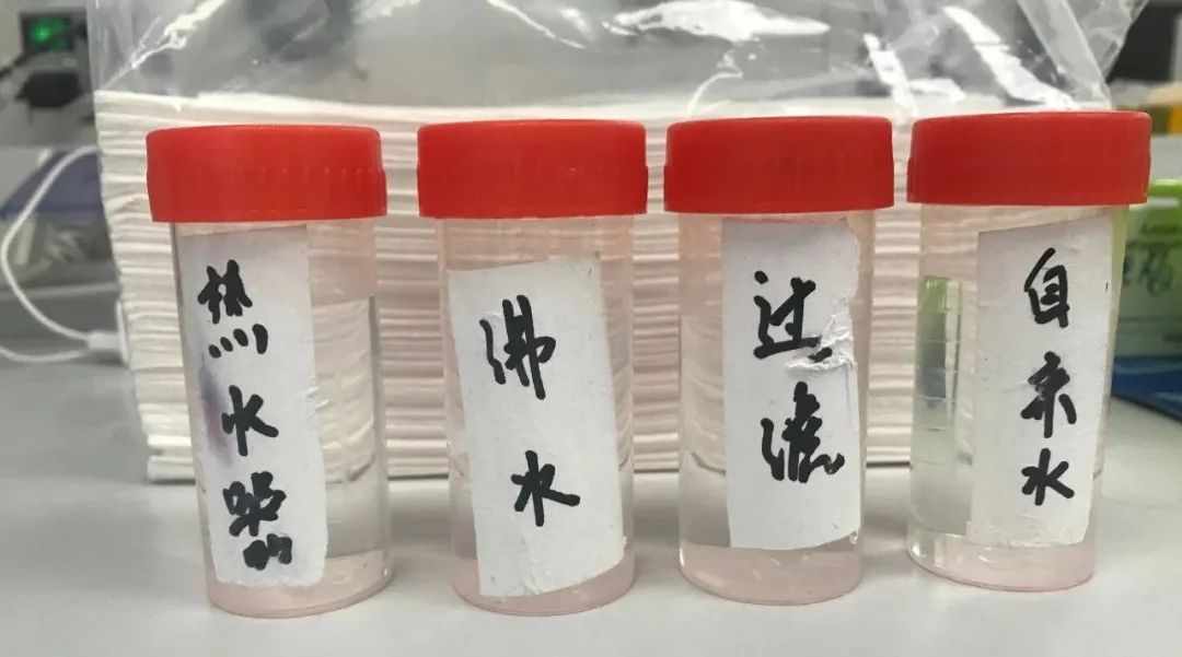 深圳五个月宝宝铅中毒,五岁的宝宝铅超标怎么办