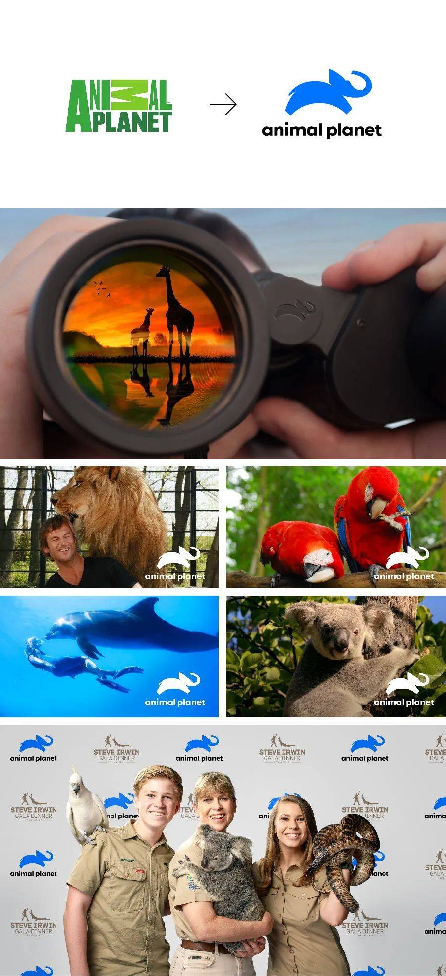 logo设计公司的核心技术是什么,商标设计logo的最佳搭配