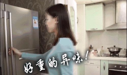 冰箱有异味放什么除菌,冰箱有异味能清出来嘛