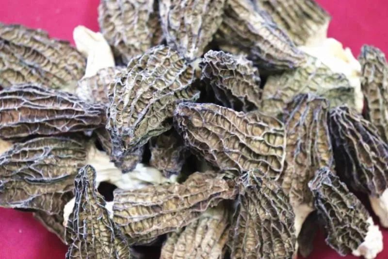 好嘢团购套餐,广西好嘢直播