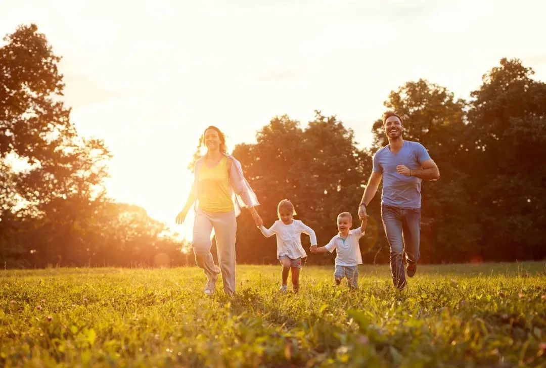 酸奶知识大全100篇,60篇酸奶知识