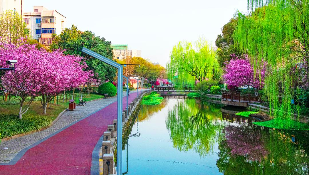 “镜中”余杭！这样的“靓”城美景你见过吗？丨小余儿说晚安