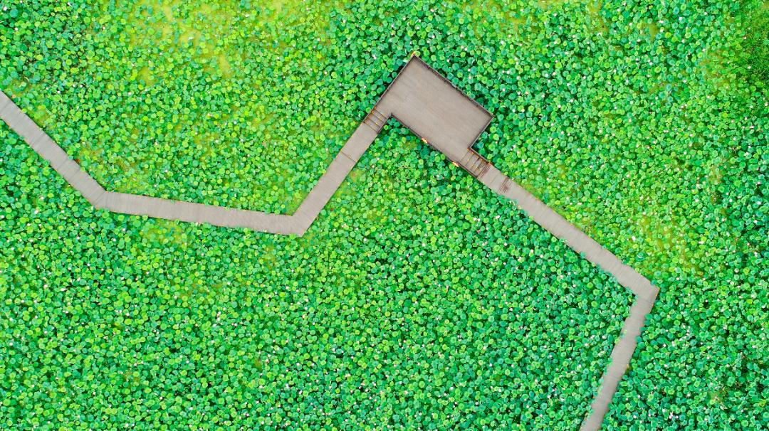 “镜中”余杭！这样的“靓”城美景你见过吗？丨小余儿说晚安