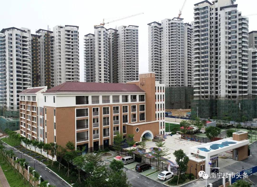 青秀区中小学招生地段,南宁青秀区2023小学招生政策