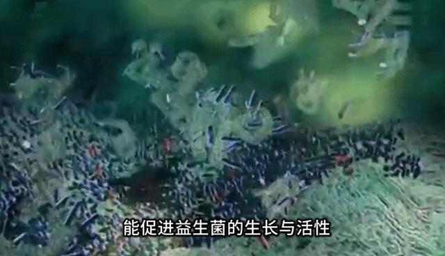 口臭痘痘胃脘疼便秘,痘痘多口臭怎么办