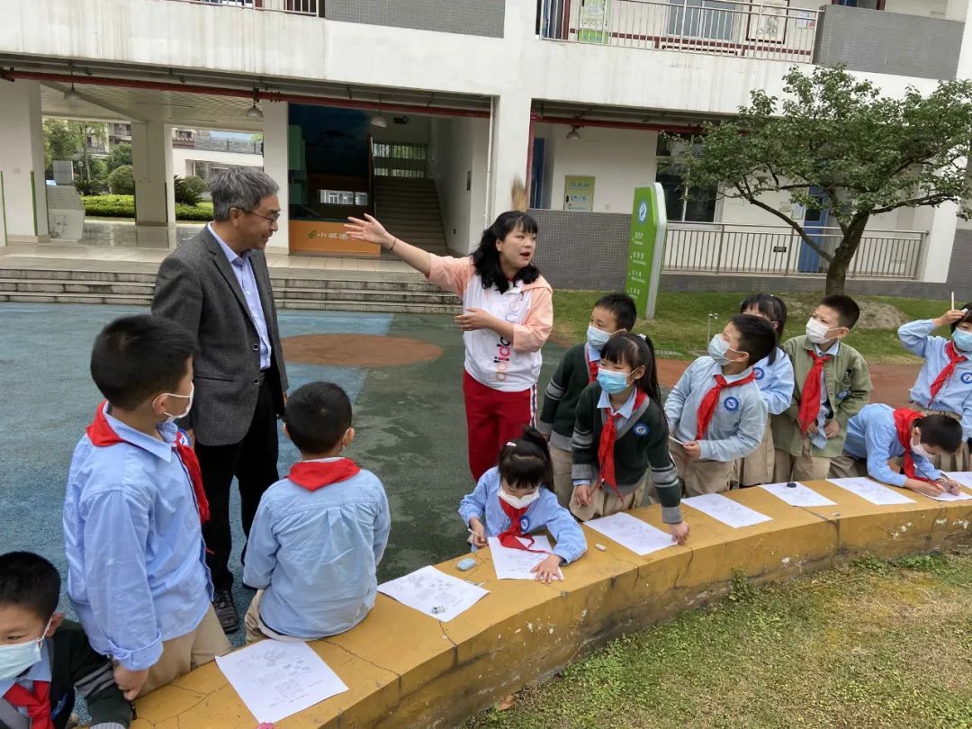 常青树教育培训,常青树怎么养护和管理