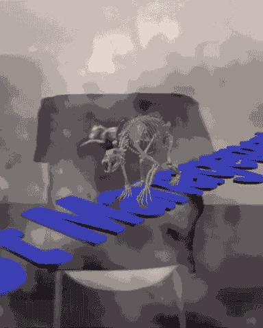 曾经被刷屏的美女,被抖音刷屏的女人后续