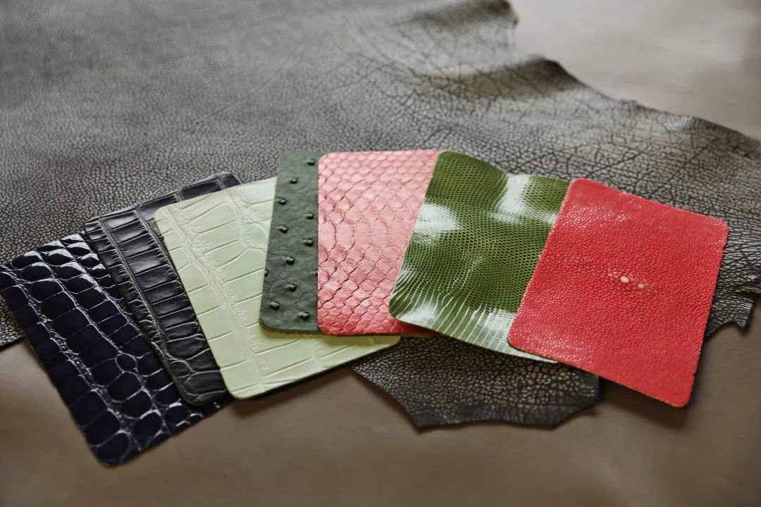 世界上最顶级的箱包,世界上最珍贵的包包