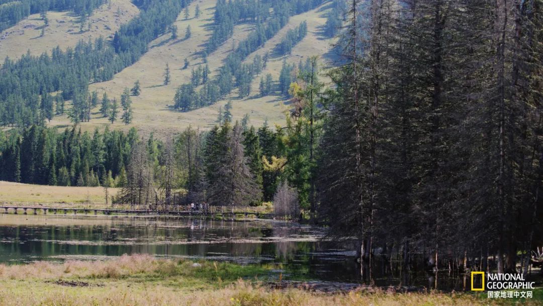 有一种异域风情的美,有一种前所未有的力量充斥着我