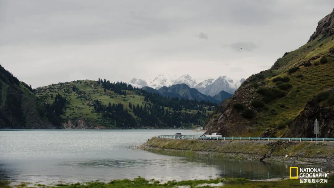 有一种异域风情的美,有一种前所未有的力量充斥着我