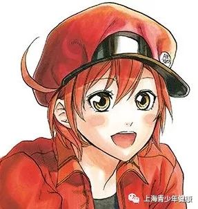 意想不到的科普,正经又有趣的科普