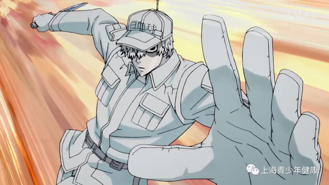 意想不到的科普,正经又有趣的科普