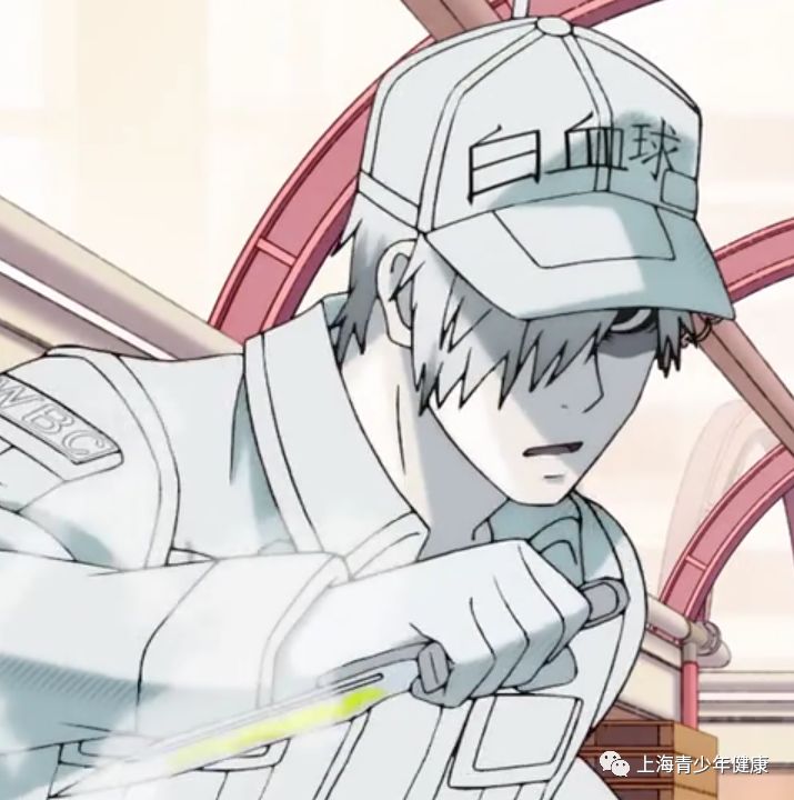 意想不到的科普,正经又有趣的科普