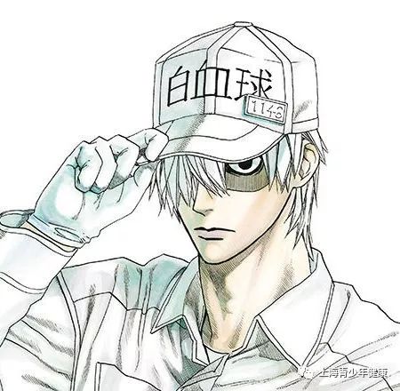 意想不到的科普,正经又有趣的科普