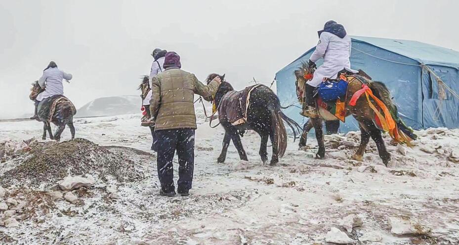 健康蓬勃的朝气与活力,健康玉树最新信息