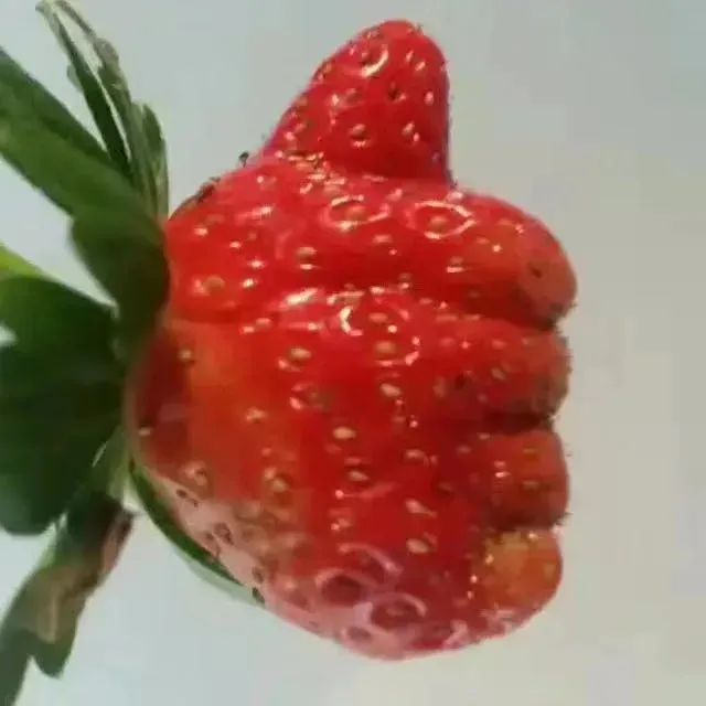 忙是治疗一切神经病的良药啥意思,忙是治疗一切神经病的良药朋友圈