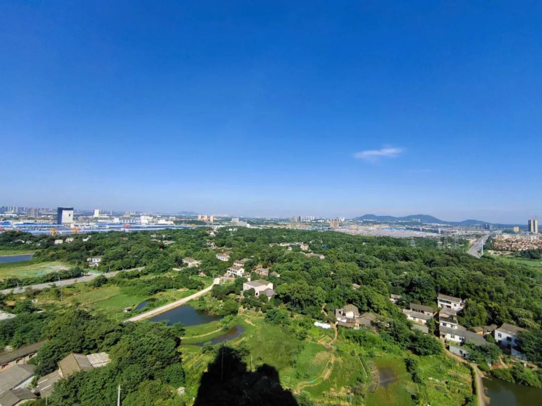 刷屏了！这样的开福蓝，请给我来一打