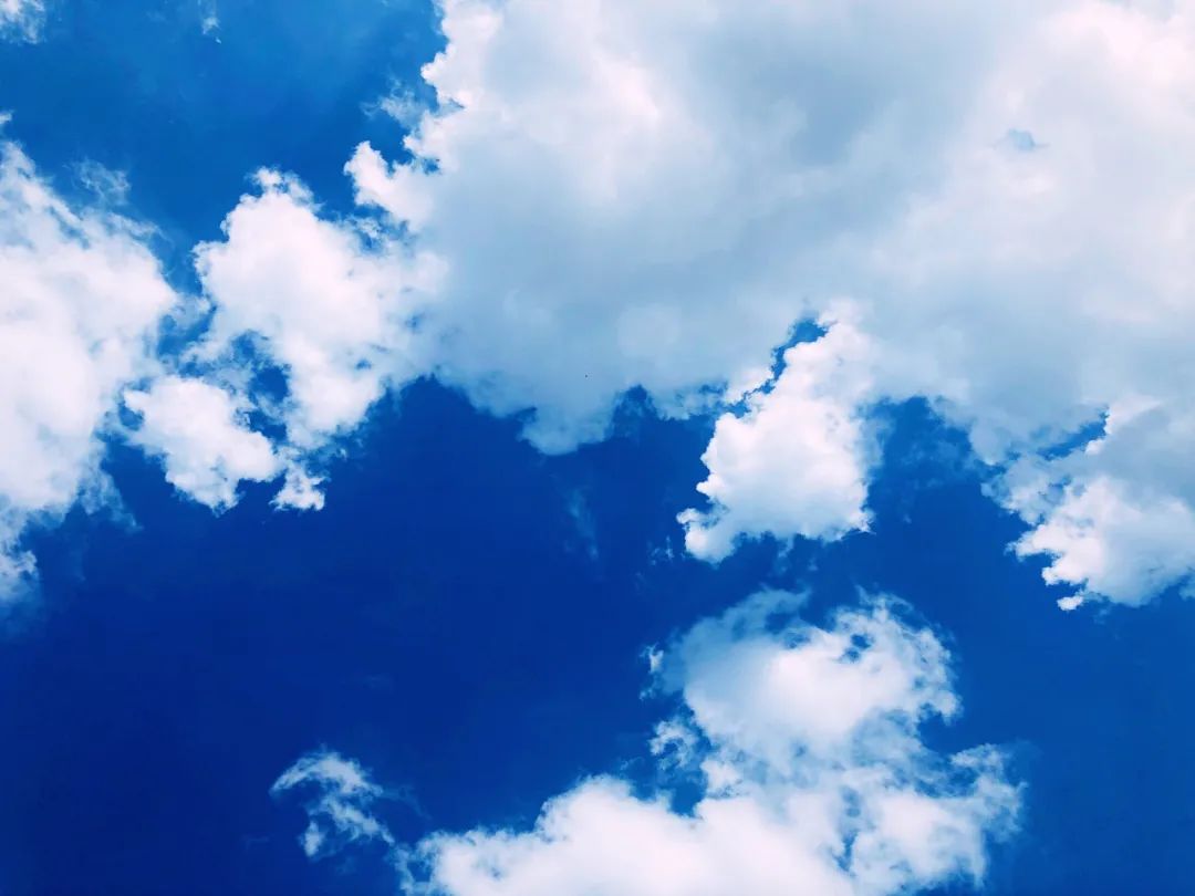 刷屏了！这样的开福蓝，请给我来一打