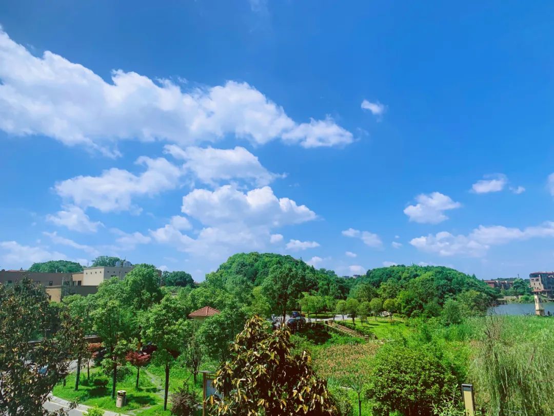 刷屏了！这样的开福蓝，请给我来一打