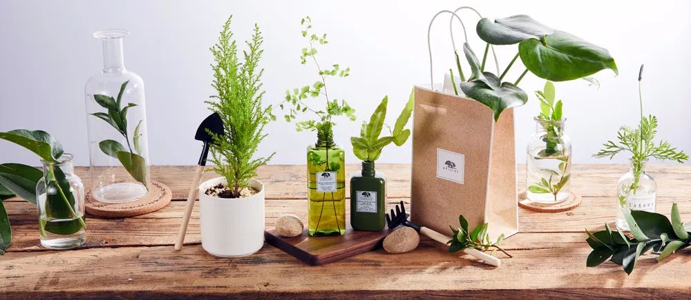 拥有风靡全网的“网绿”才是向往的生活