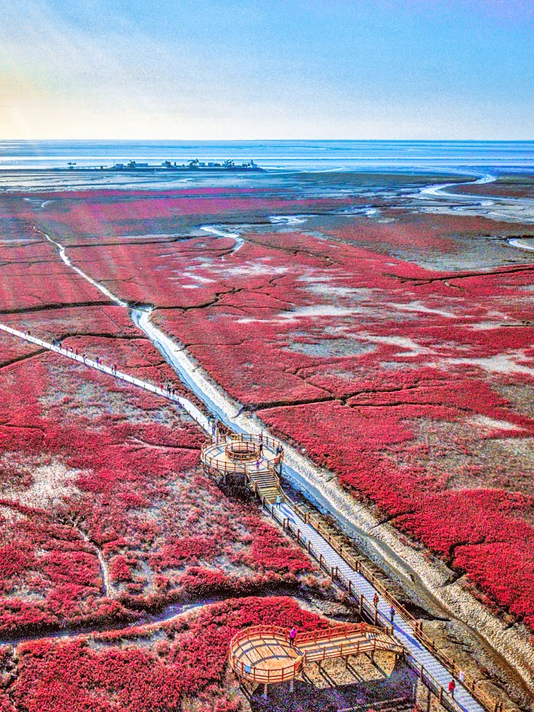 黄河会填平渤海吗,黄河会不会把渤海填平