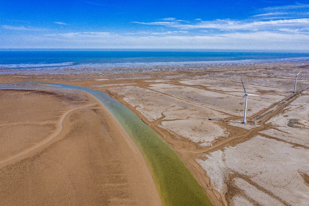 黄河会填平渤海吗,黄河会不会把渤海填平