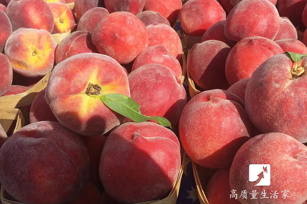 如何快速简单的去掉桃子毛,怎么快速去除桃子毛