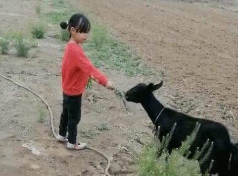 看完李佳琦父亲才知道，90%的人早已失去「成为李佳琦」的机会