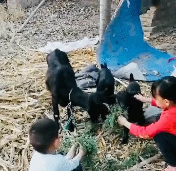 看完李佳琦父亲才知道，90%的人早已失去「成为李佳琦」的机会