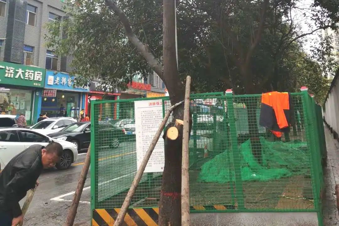 迎十四运浐灞,迎十四运弘扬爱国情