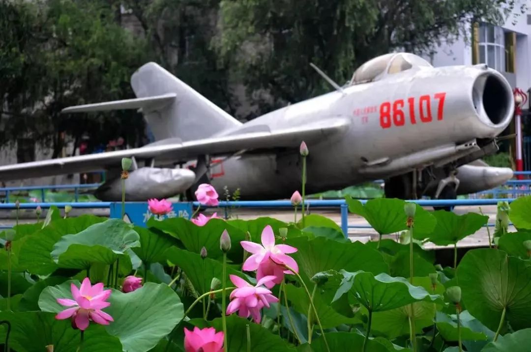 我滴任务完成啦表情包,我滴孩嘞是哪个地方的方言