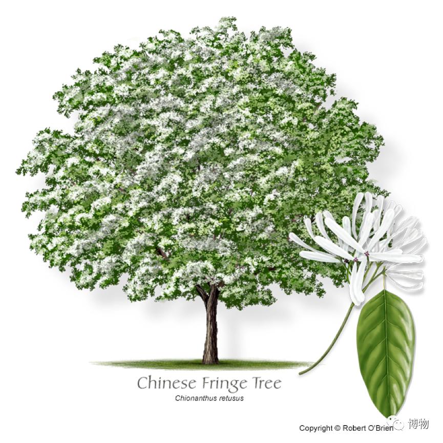 不孕不育到底是福报还是恶报,不孕不育的人后果